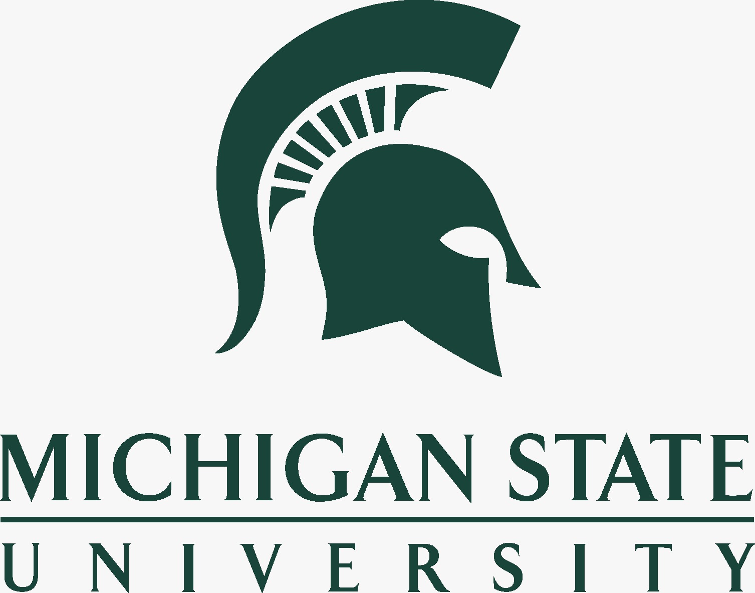 Michigan State University