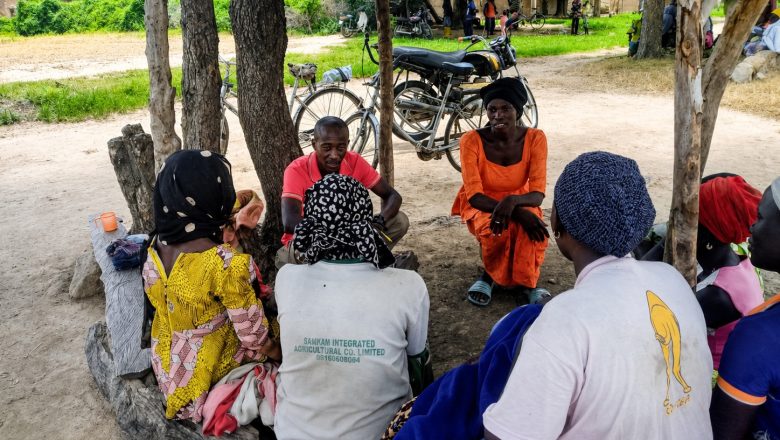 Strengthening the delivery of Universal Basic Education (UBE) in conflict-affected areas of Adamawa State, Nigeria.